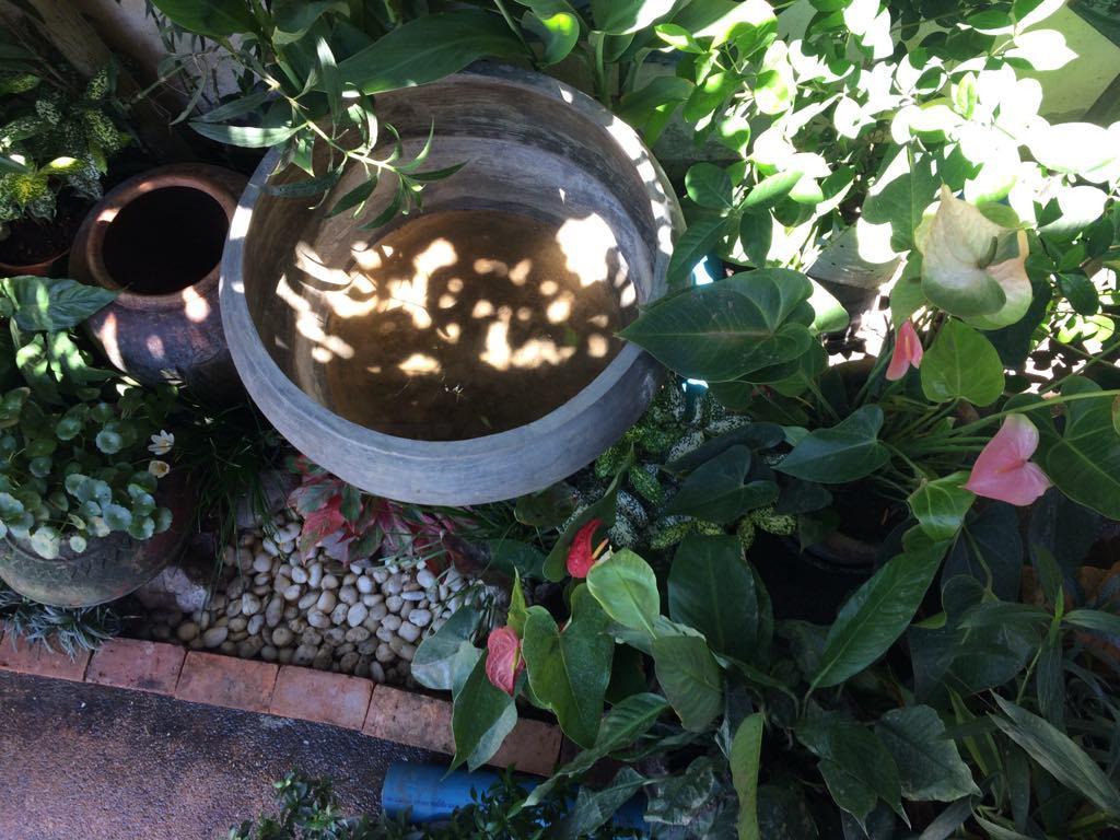 Sister House Chiangmai (Adults Only) Bed and Breakfast Τσιάνγκ Μάι Εξωτερικό φωτογραφία